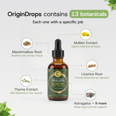 Super Concentrated Mullein Drops