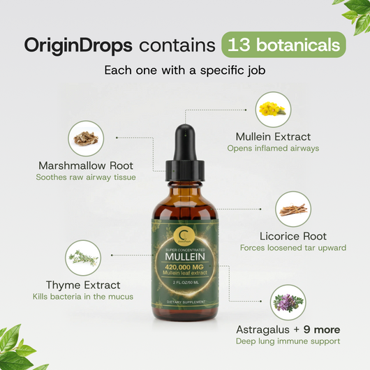 Super Concentrated Mullein Drops