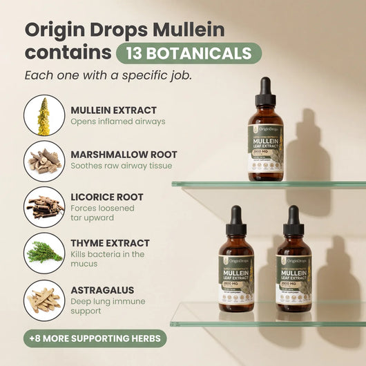 Super Concentrated Mullein Drops