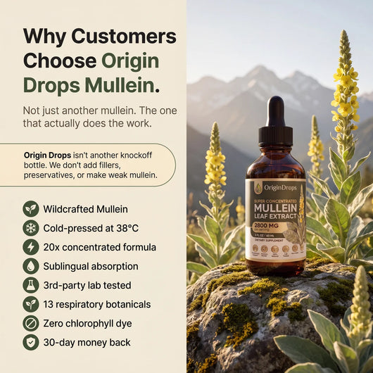 Super Concentrated Mullein Drops